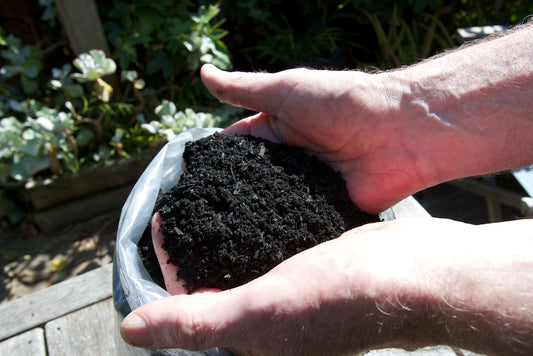 5 Facts You Didn't Know About Biochar