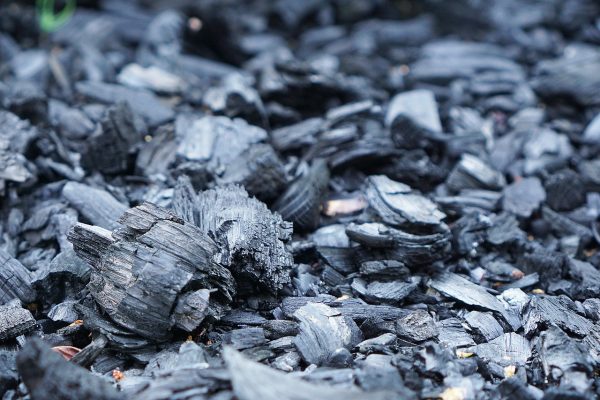 Is Biochar the single most important initiative for humanity’s environmental future?