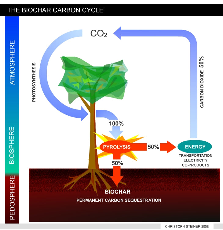 Biochar versus other forms of carbon